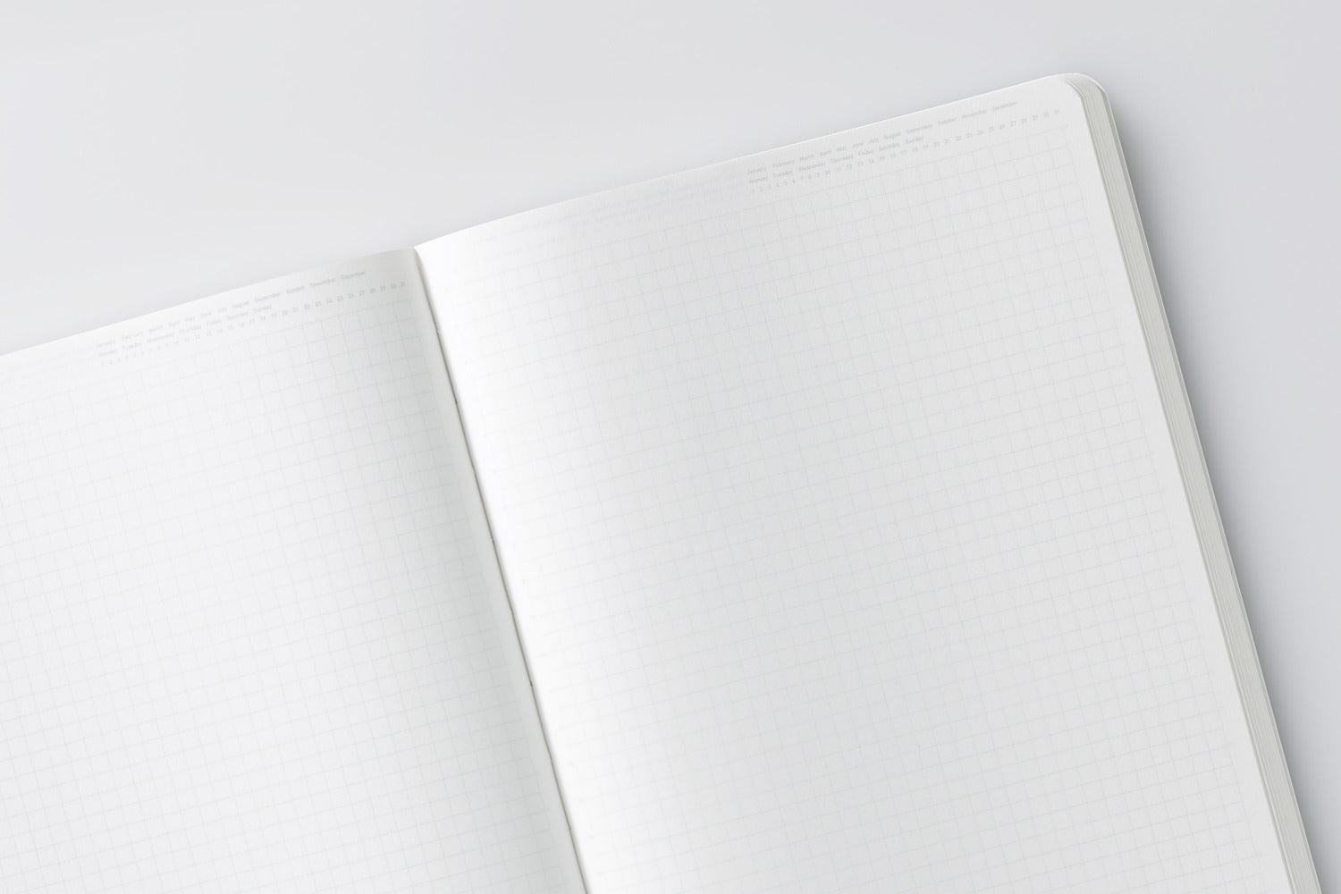 Editor's Series 365 Days Notebook - A5 - Grid