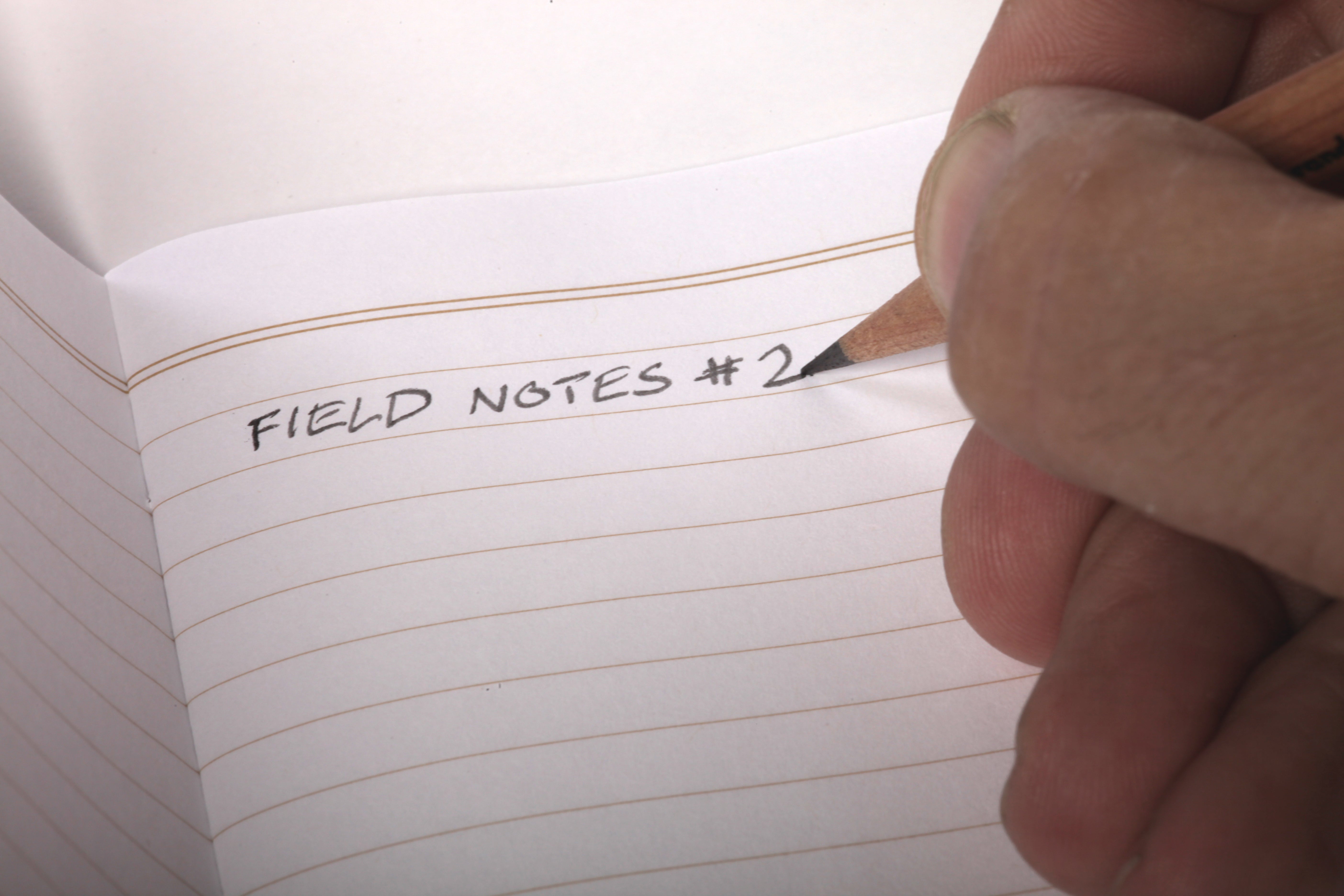 Field Notes - No. 2 Woodgrain Pencil 6-Pack