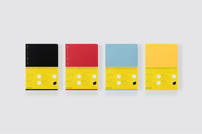 Editor's Series 365 Days Notebook - A5 - Grid