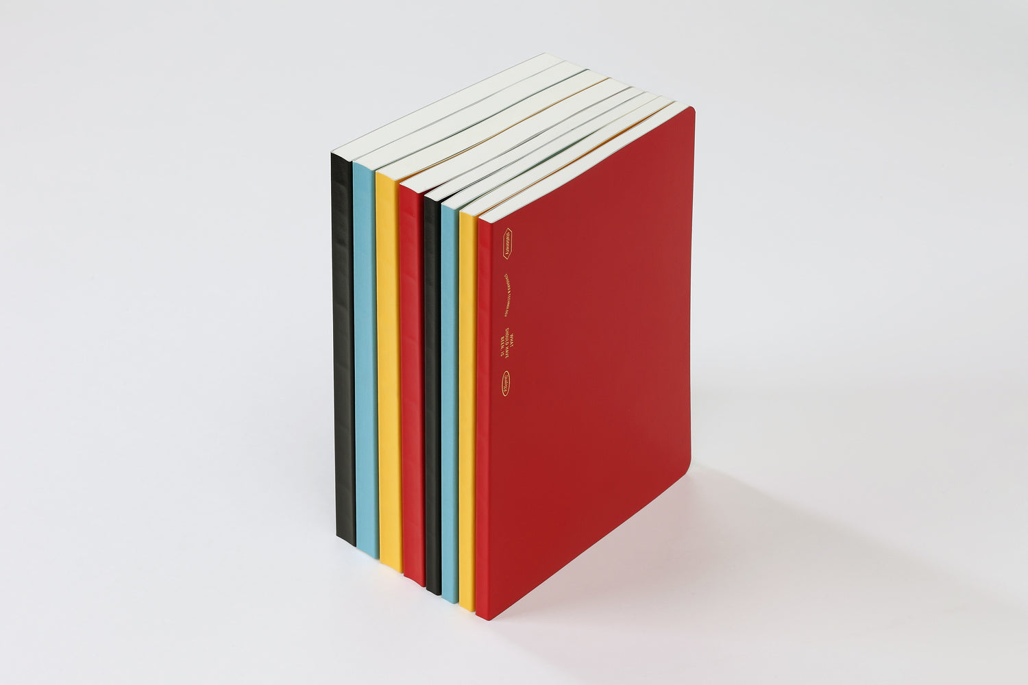 Editor's Series 365 Days Notebook - A5 - Grid