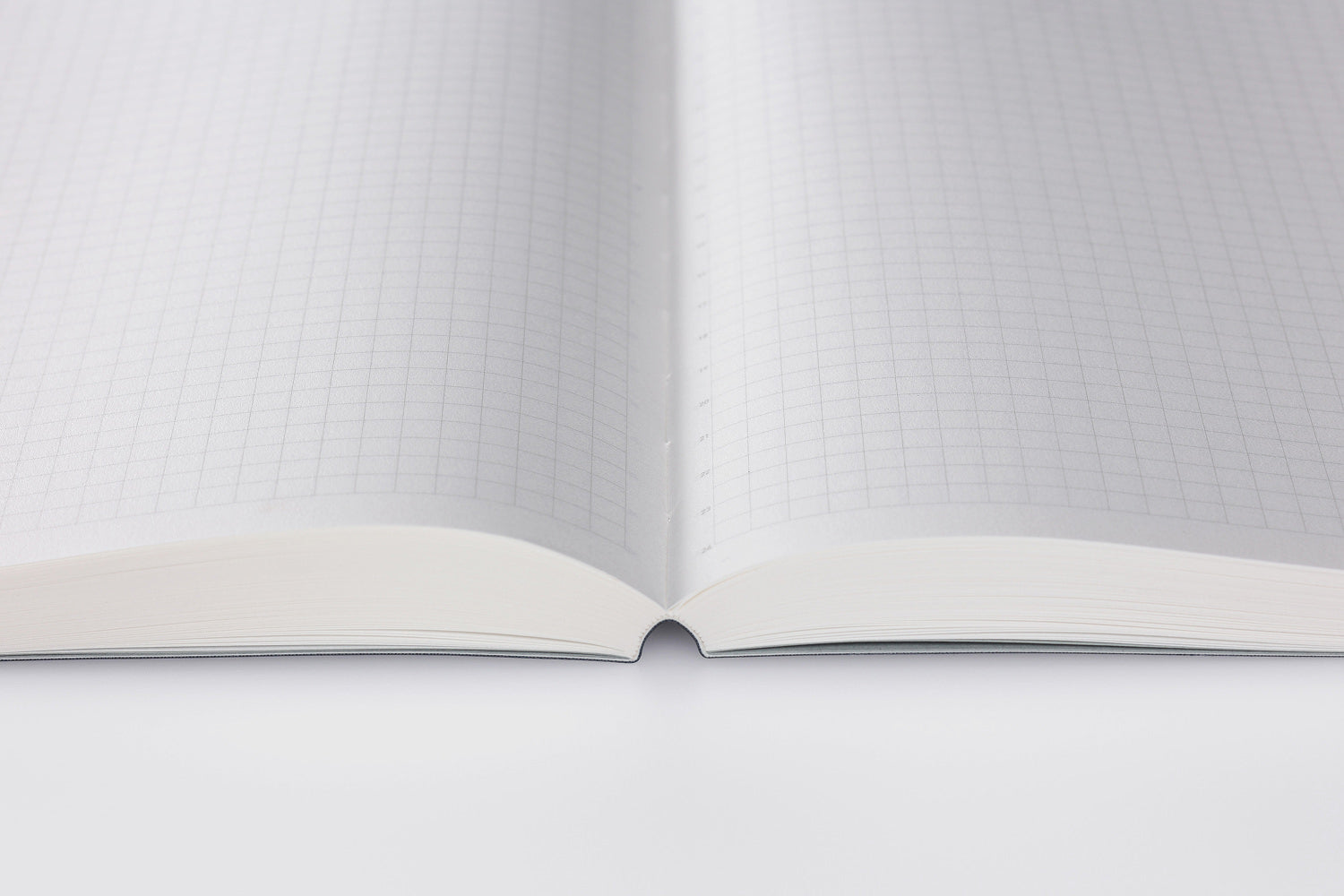 Editor's Series 365 Days Notebook - A5 - Grid