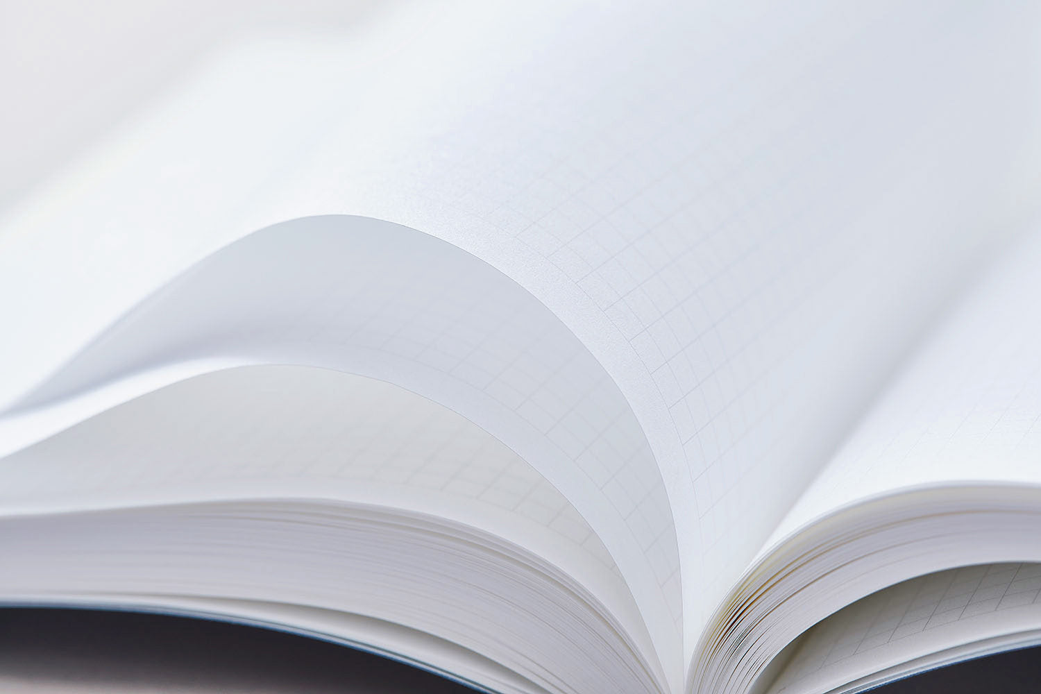 Editor's Series 365 Days Notebook - A5 - Grid