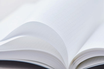 Editor's Series 365 Days Notebook - A5 - Grid