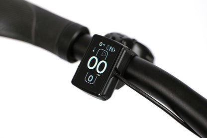 G Line / 4-Speed - Electric e-Motiq