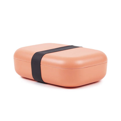 Rectangular Bento Lunch Box